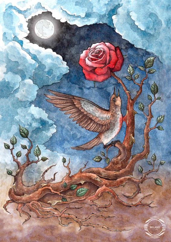 Иллюстрация Соловей и роза.jpg