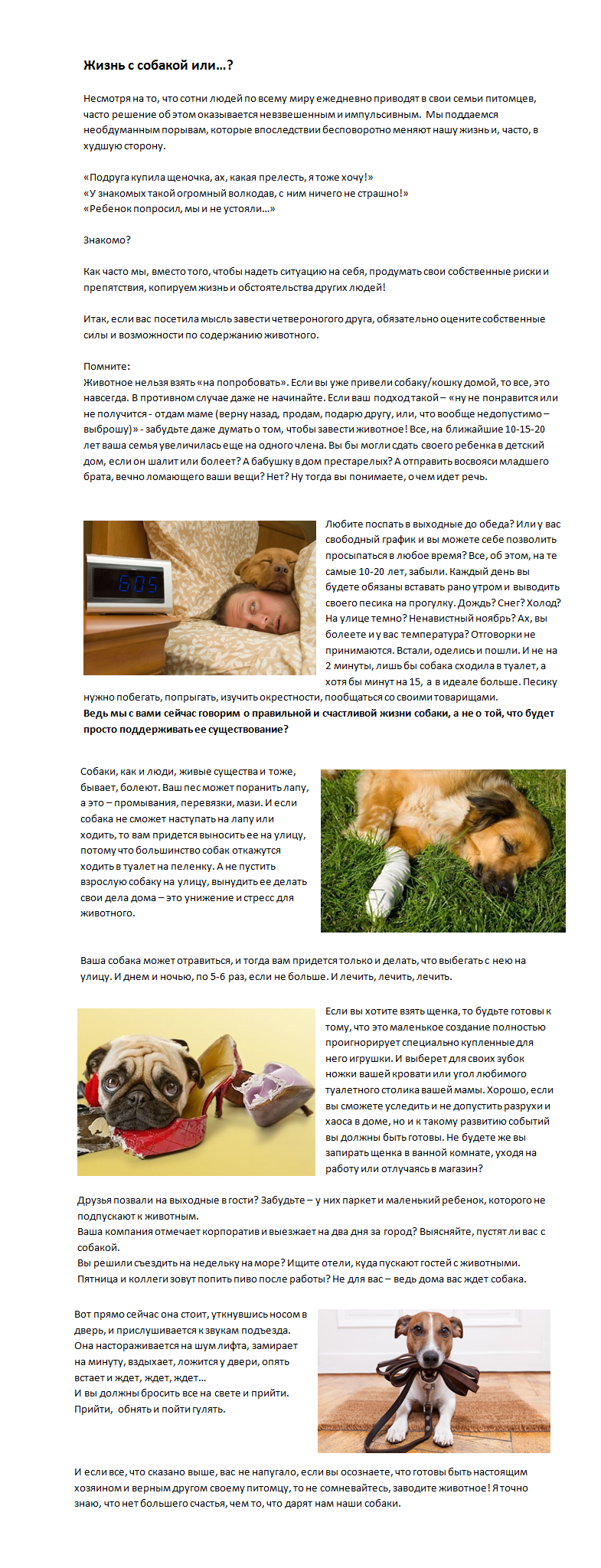 жизнь с собакой или.png