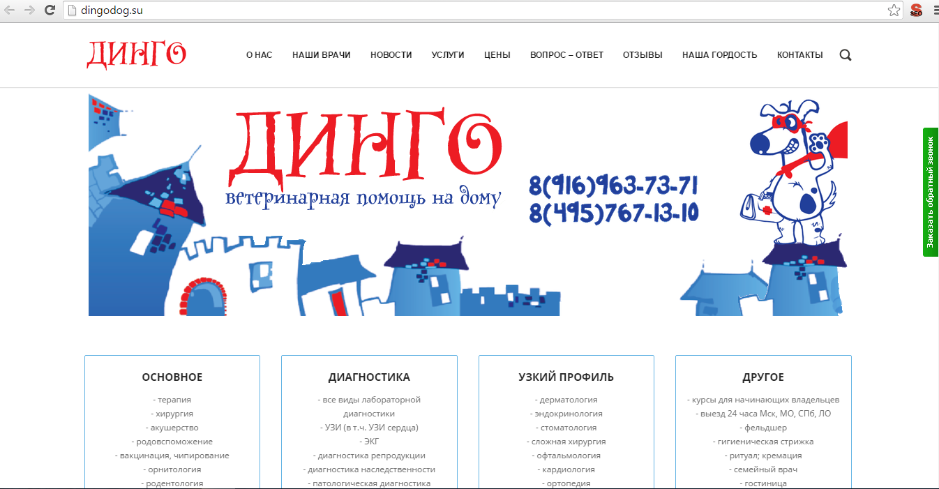 динго скрин.PNG