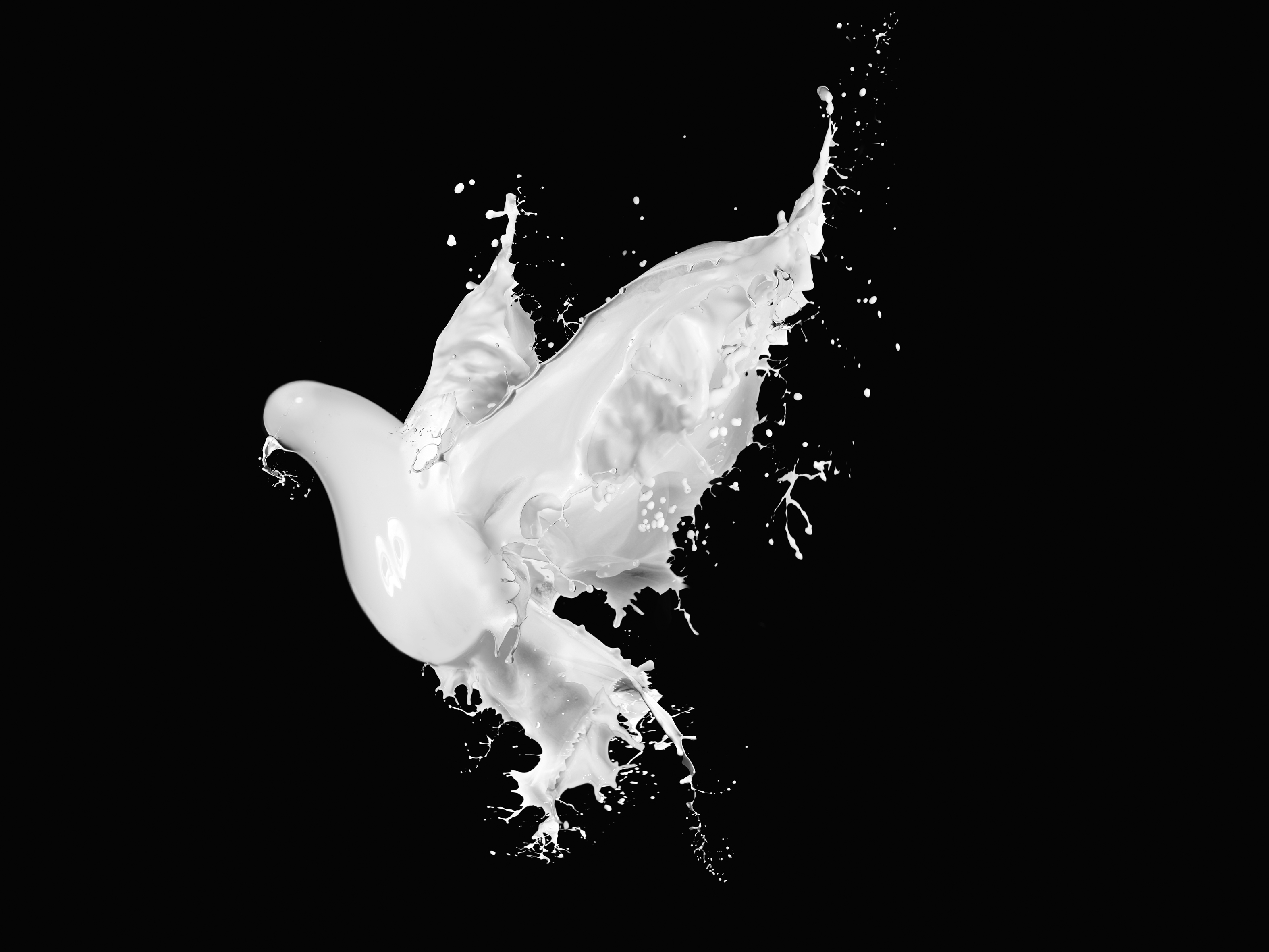 Milk_ (3).jpg