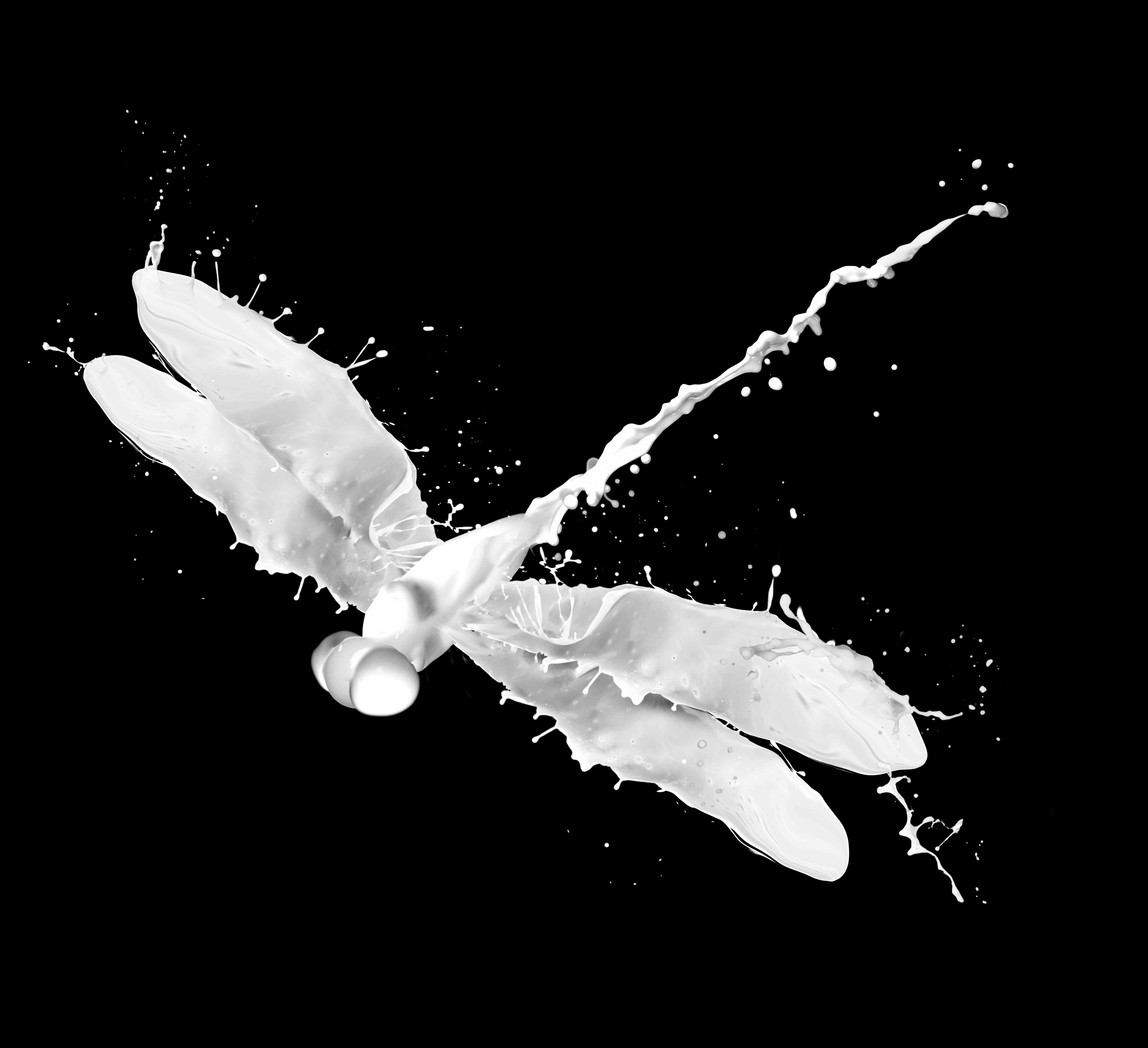Milk_ (5).jpg