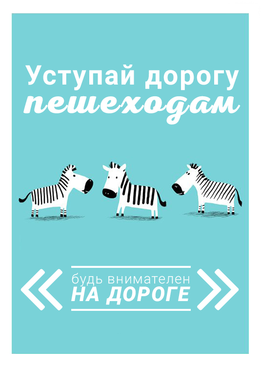зебра.jpg