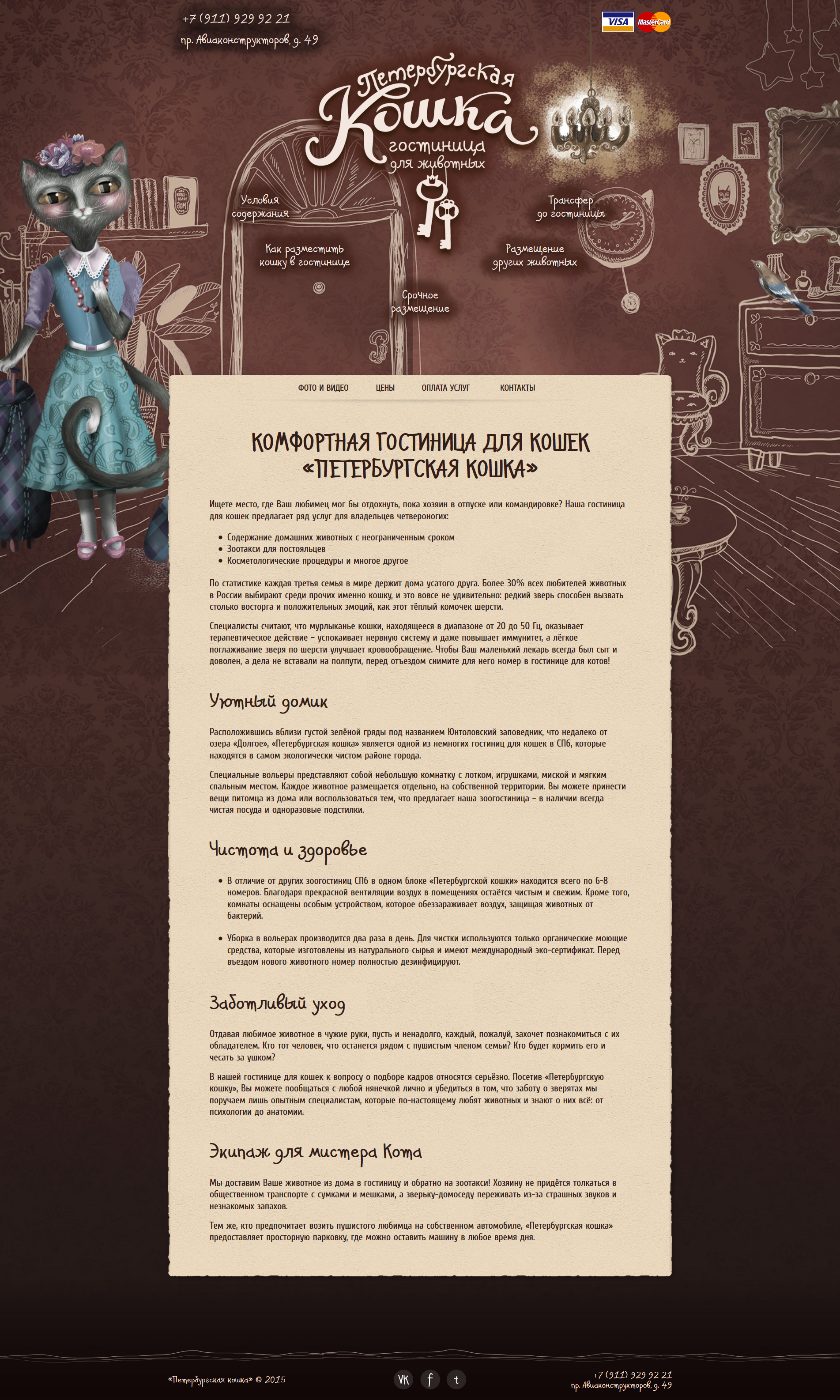 Петербургская кошка_скриншот_1.png