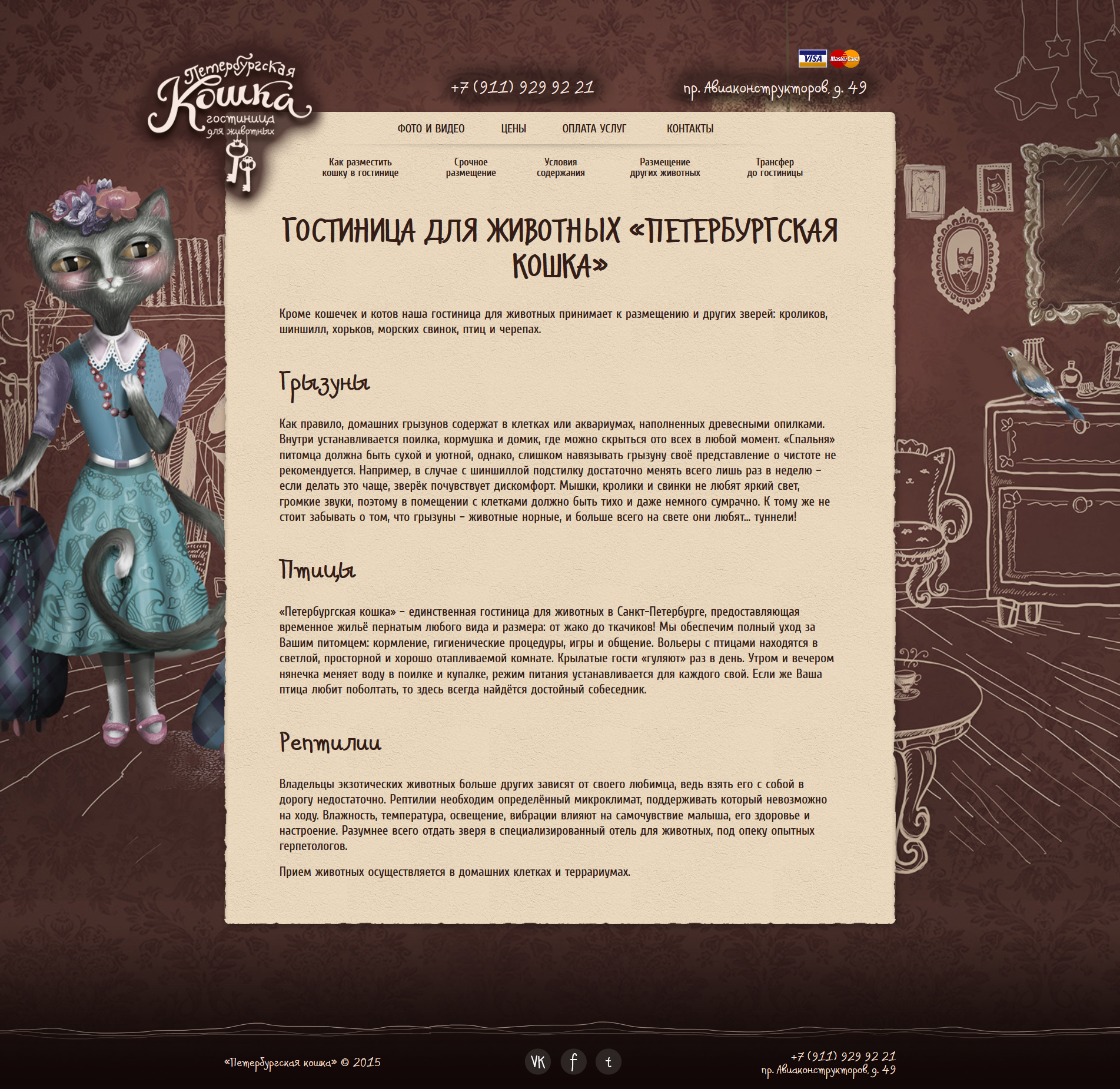 Петербургская кошка_скриншот_4.png