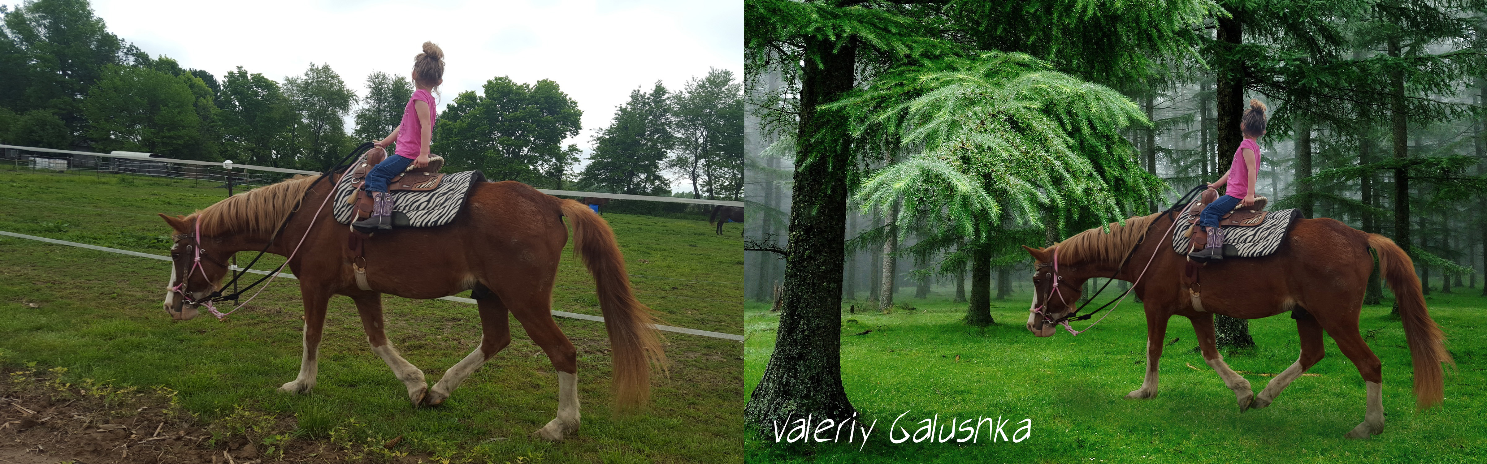 девочка на лошади - сравнение.jpg