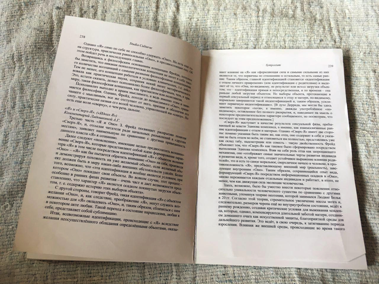 Studia Culturae. Выпуск 10_«Я» и «Сверх-Я»_238-239 с..jpg