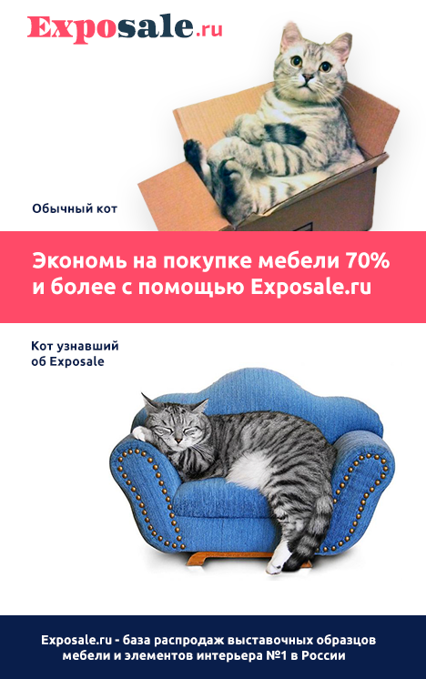 Коты2.png