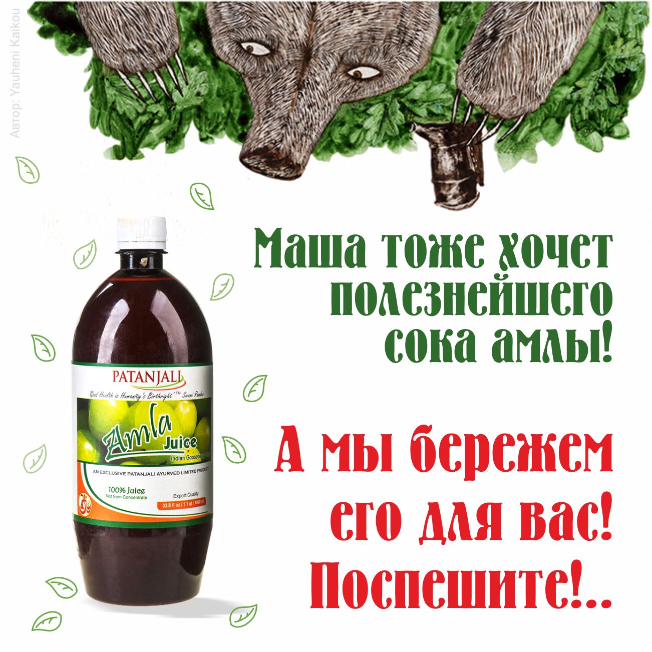 Баннер 70 - Сок амлы.jpg