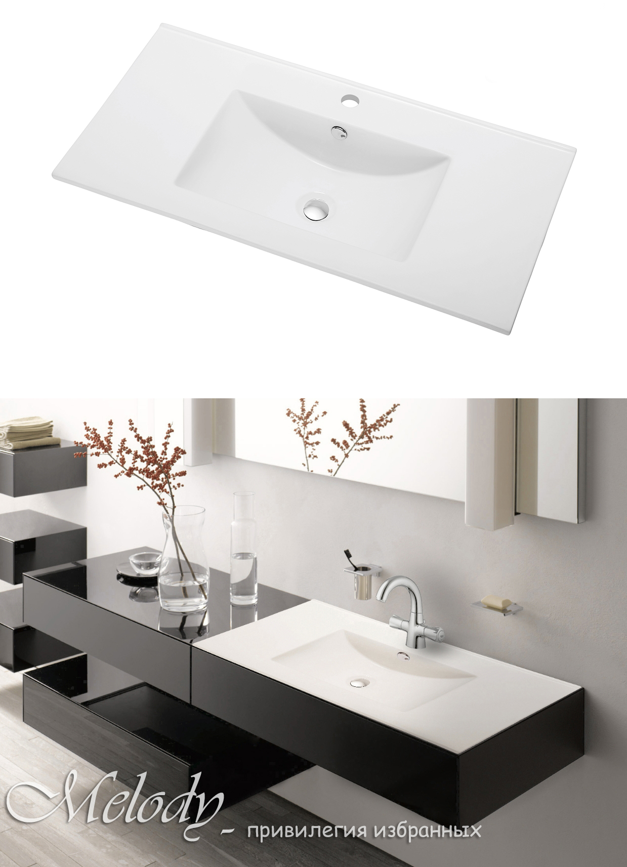 Меельная раковина Melody (помещение в интерьер).jpg