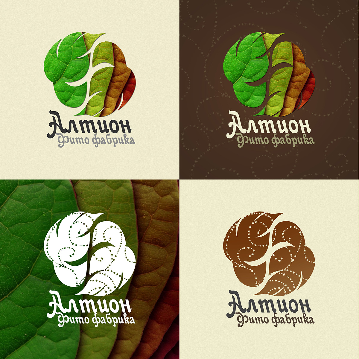 Логотип для магазина трав (фитофабрики).jpg