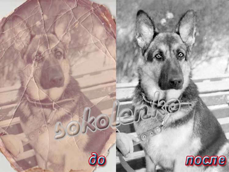 Реставраций фотографий с большими повреждениями 750 х 564.jpg