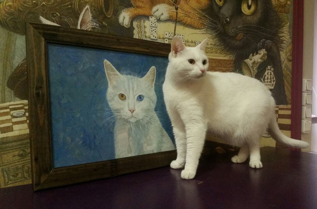 6. Луна (Сметанка), 30х40 см, холст на картоне, масло.  май 2015