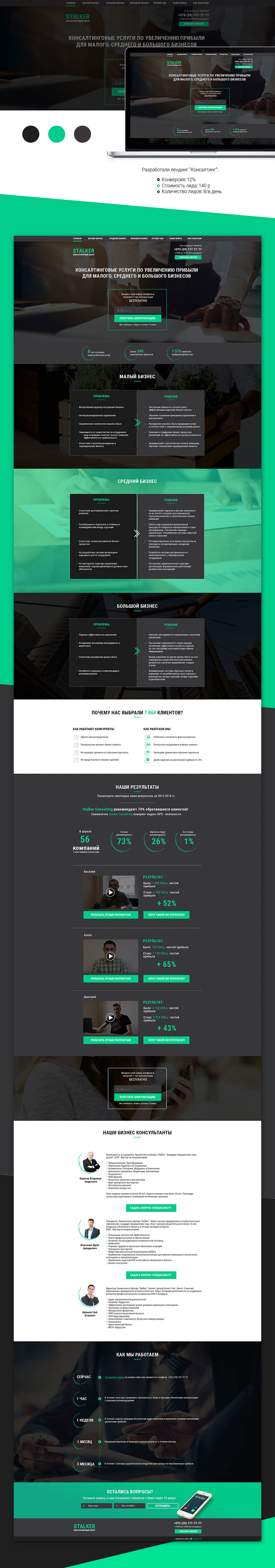 Лендинг Консалтинг.jpg