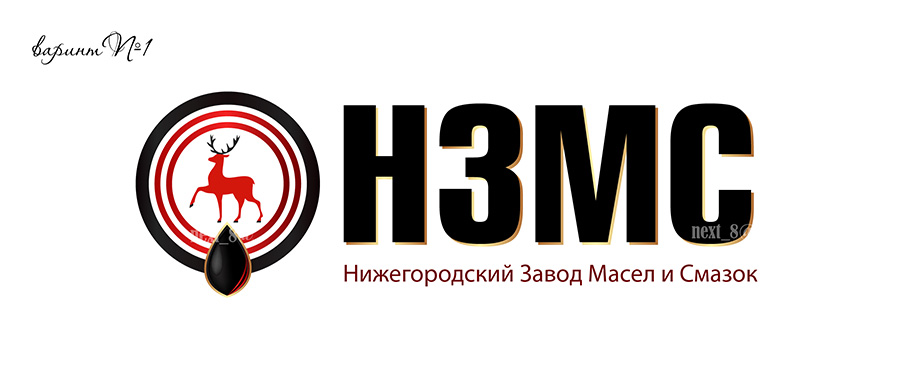 НЗМС вариант_1.jpg