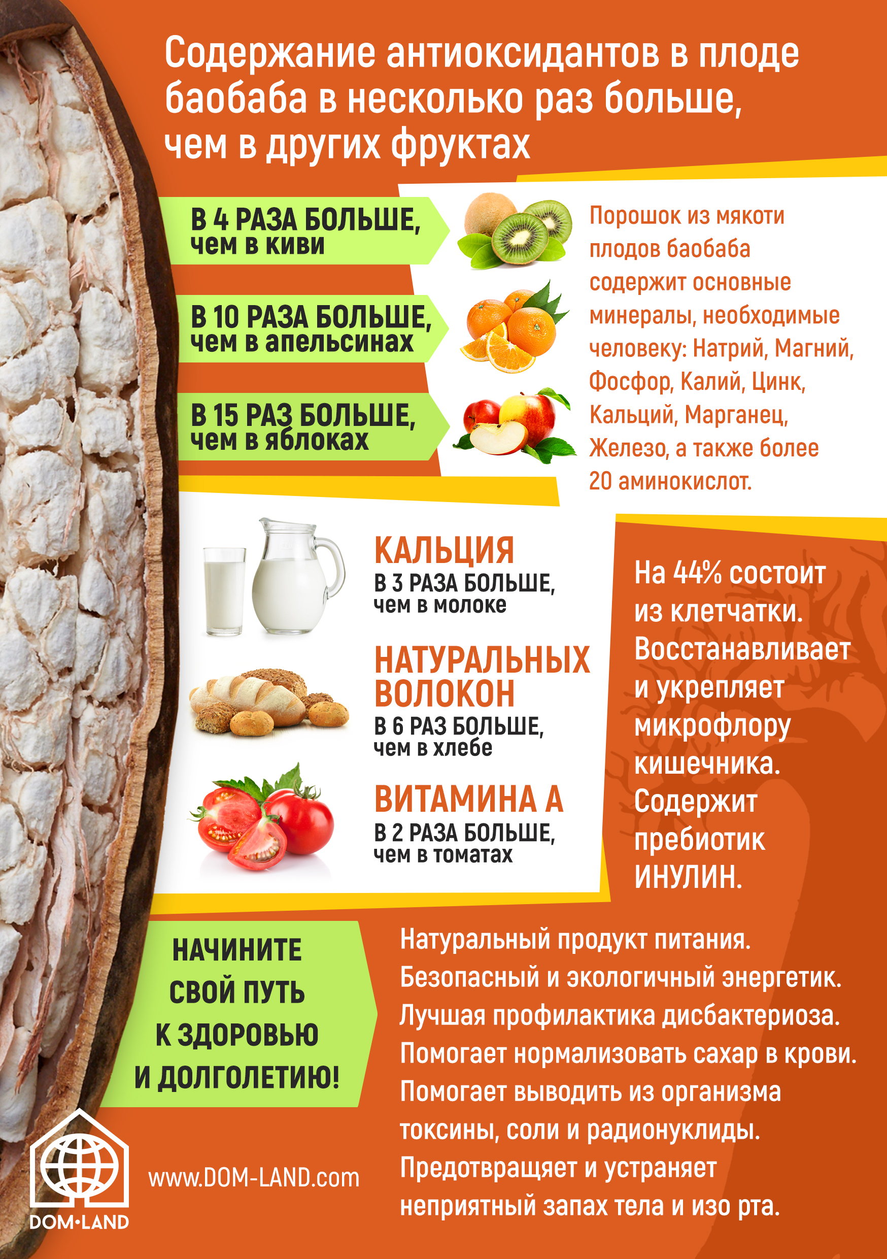 Баобаб2.jpg