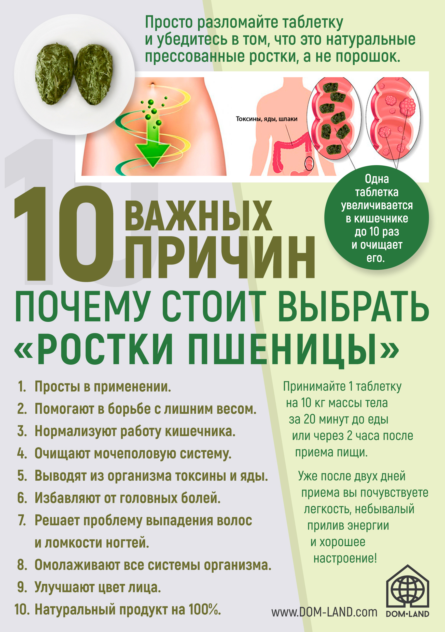 Пшеница2.jpg