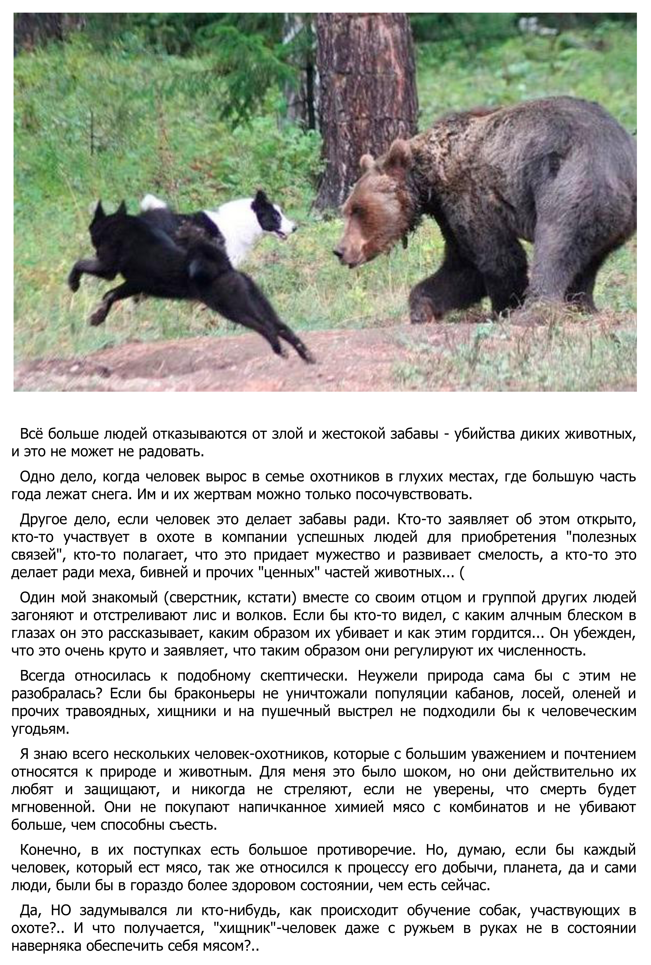 Жестокая забава.jpg