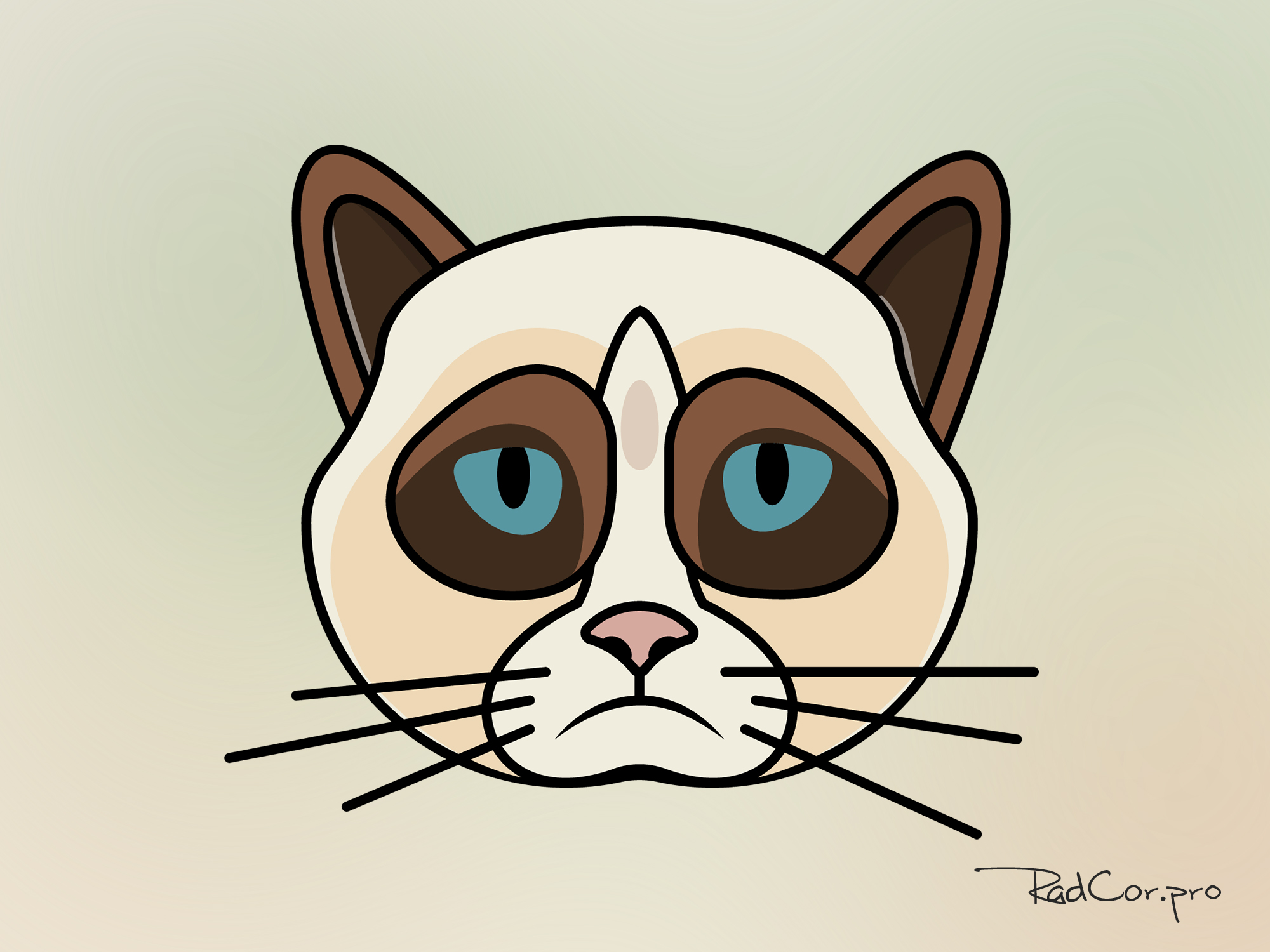 14 grumpy cat.jpg