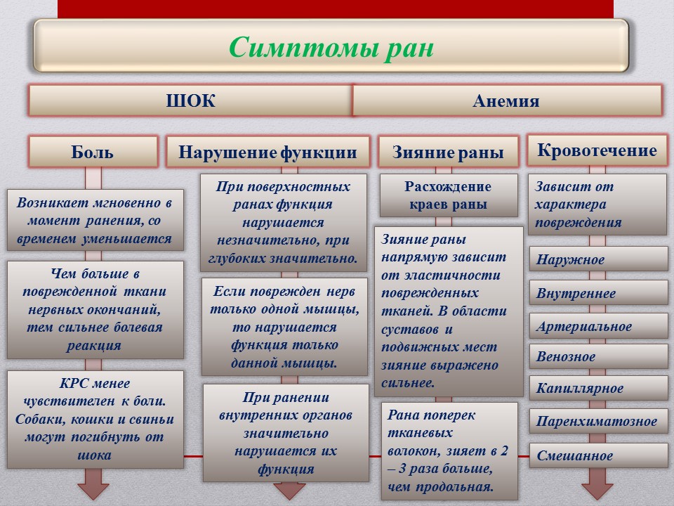 Слайд8.JPG