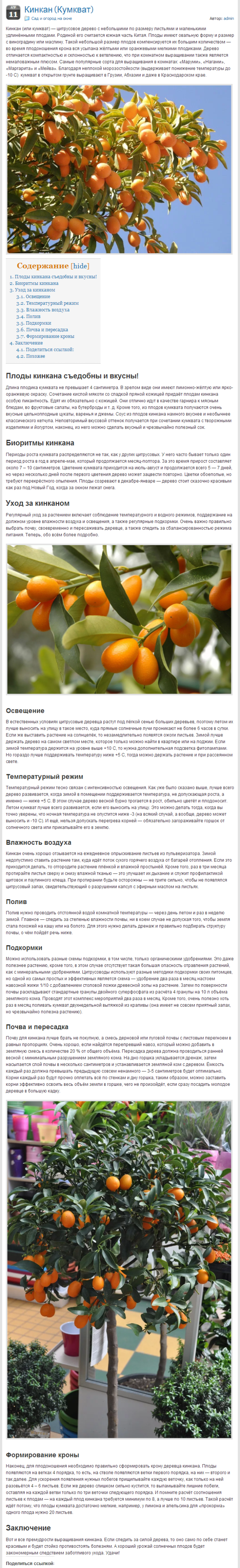 Кумкват.png