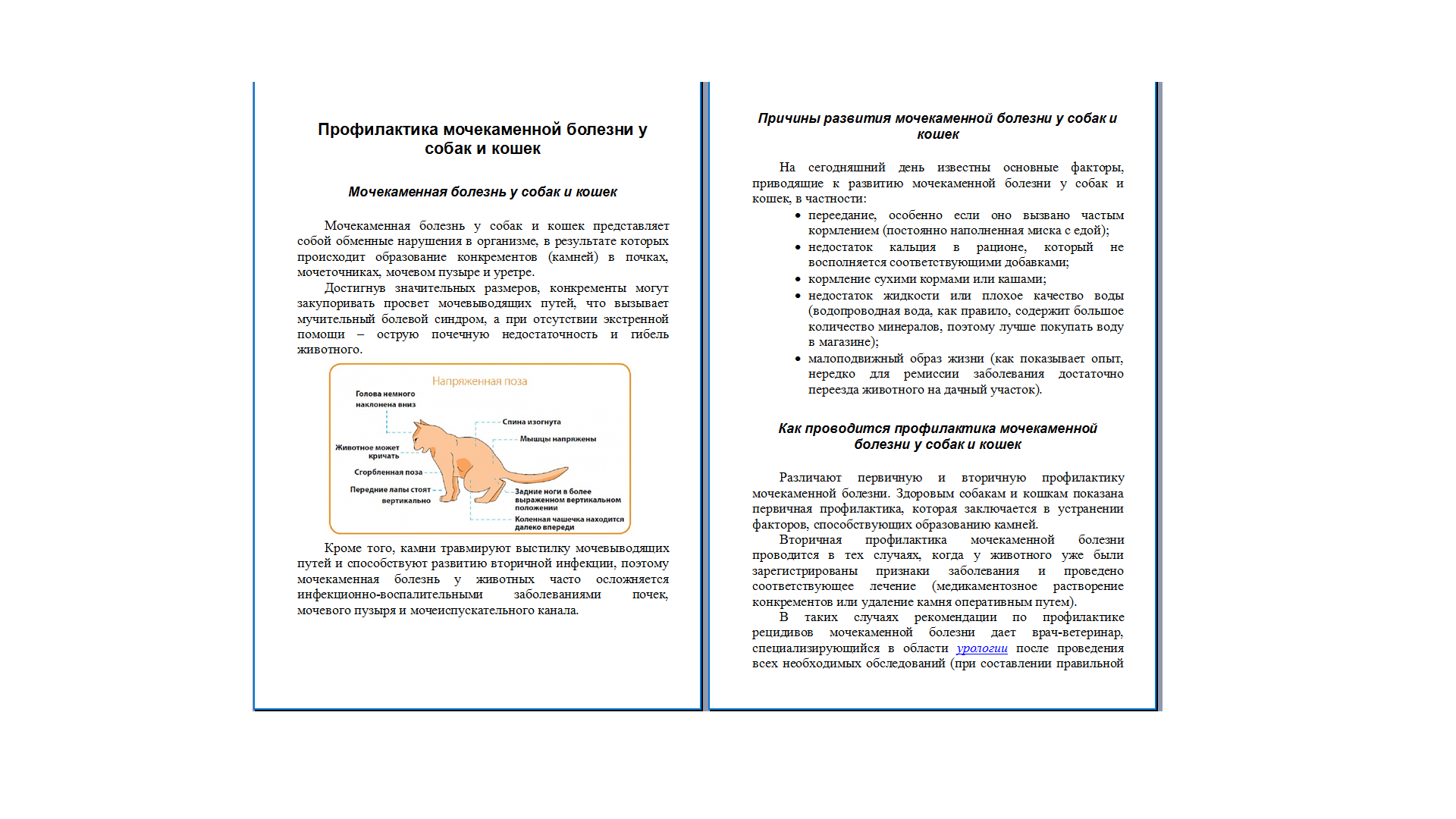 Мочекаменная болезнь у собак и кошек.png