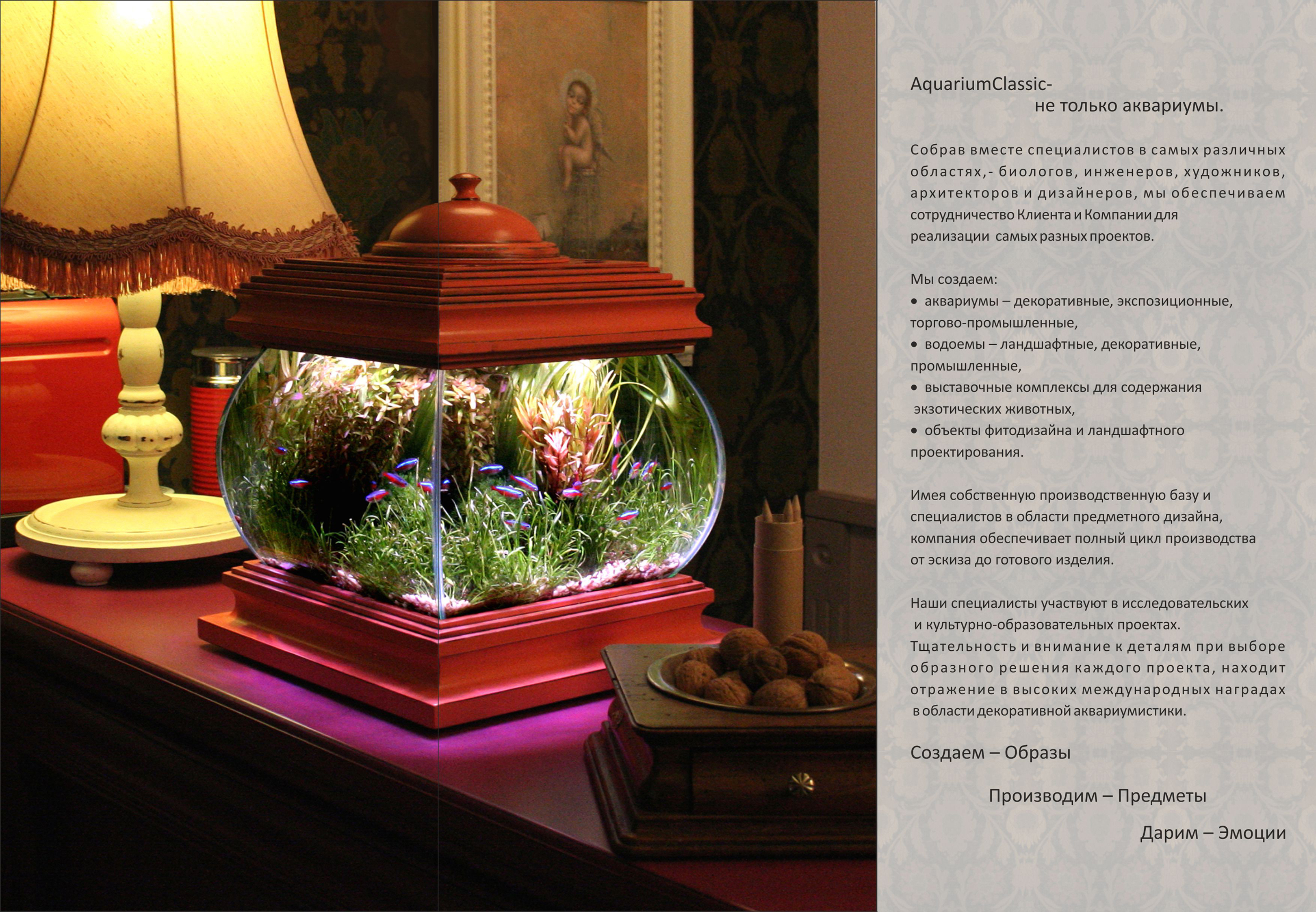 без_осветления - копия.jpg