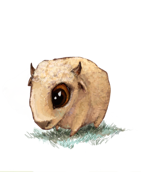 cf91d738604155.576d04cf74d37.png