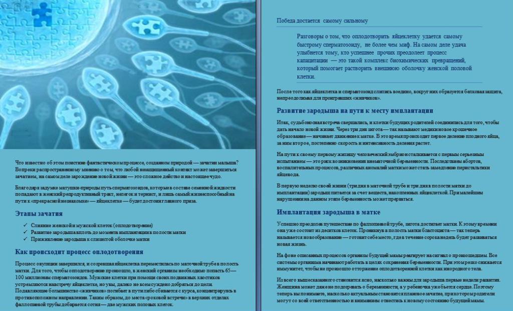Все_о_зачатии.JPG