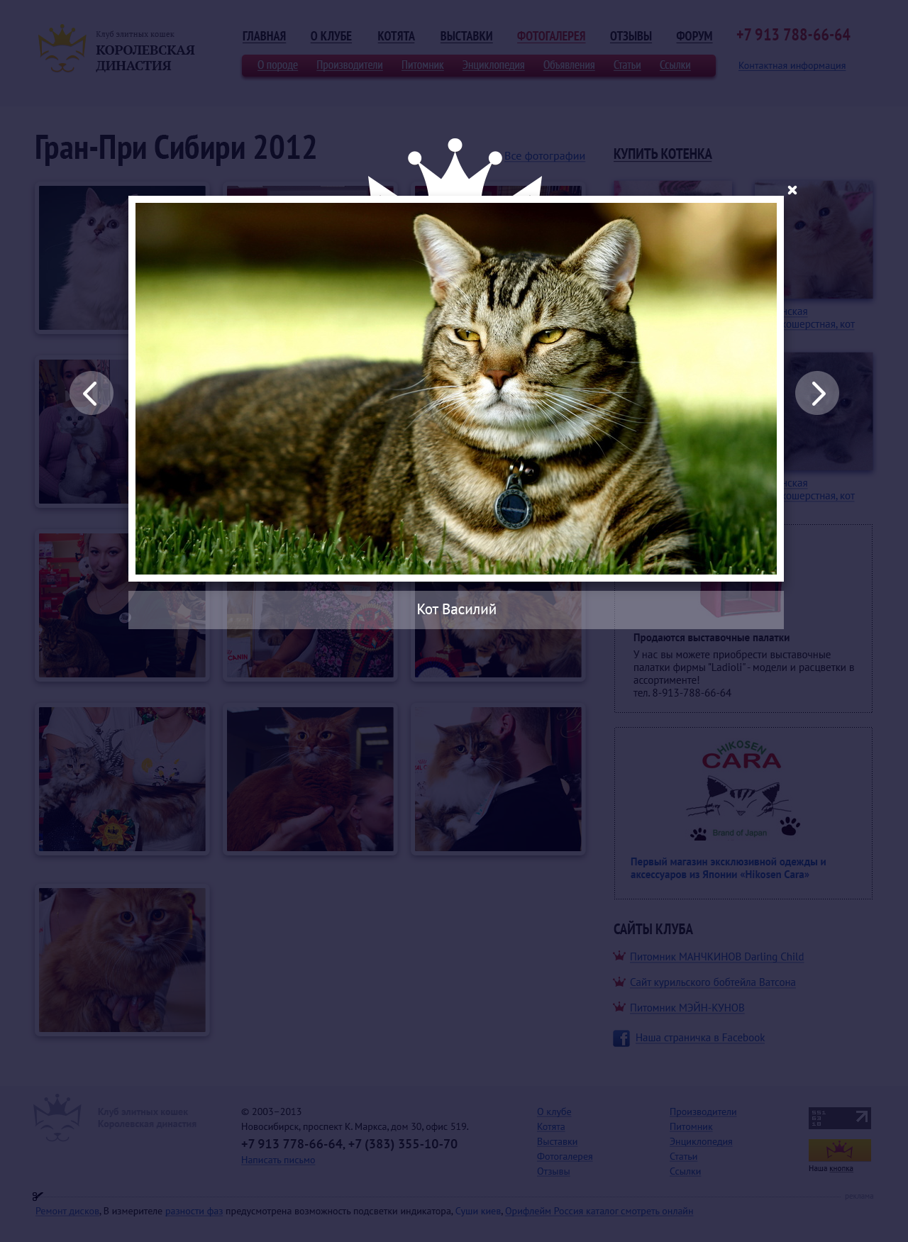 Фотогалерея_Страница фотоальбома_увеличенное фото_1280.png