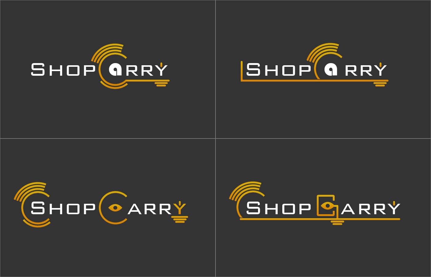 carry.jpg