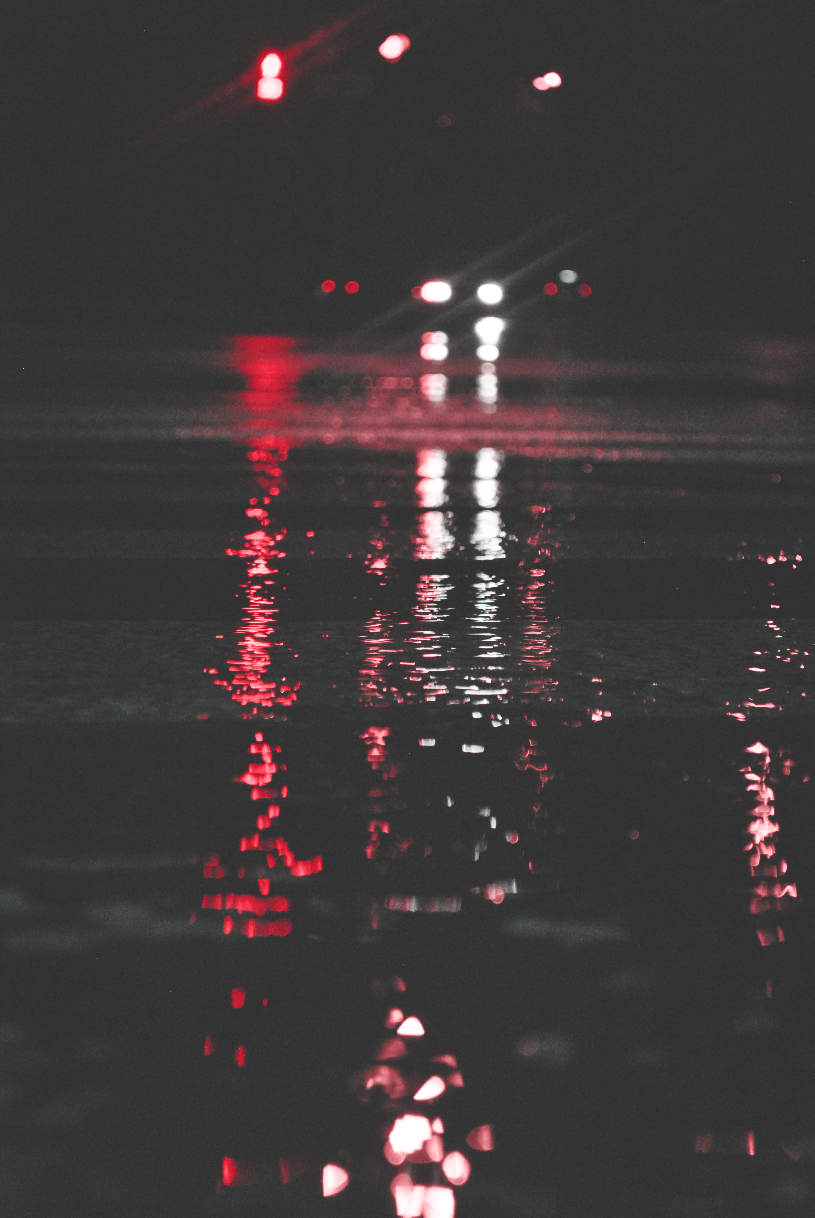DSC_0451.png