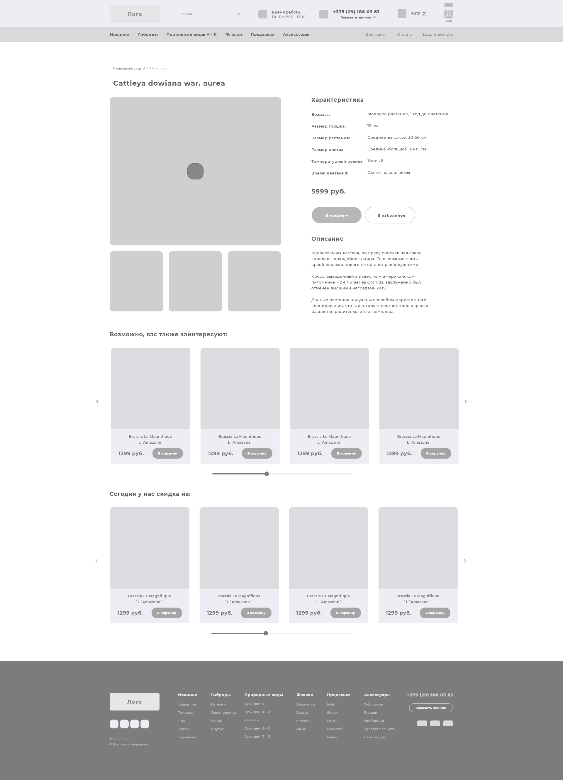 Canvas – 1.png