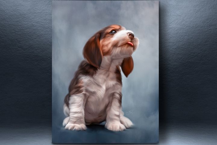 Digital Pet Portrait (цифровая живопись по вашему фото) - 1057398