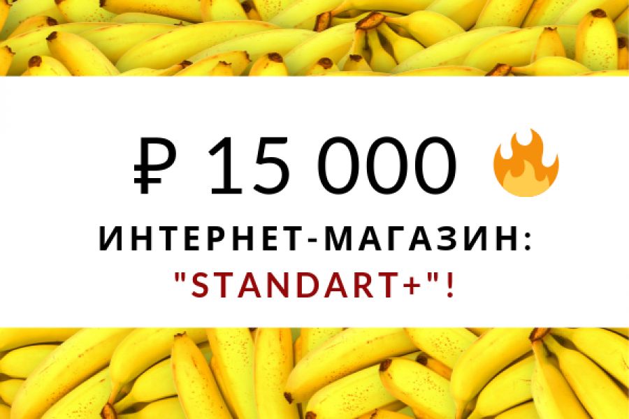 Интернет-магазин "Standart +" 15 000 руб. за 7 дней.. Учётная запись удалена