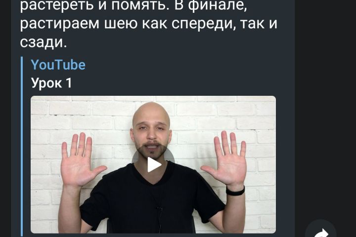 Разработка ТЕЛЕГРАМ ботов - 1224069