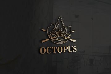 Разработка логотипа: 2 уникальных варианта