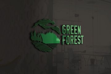 Разработка логотипа: 2 уникальных варианта