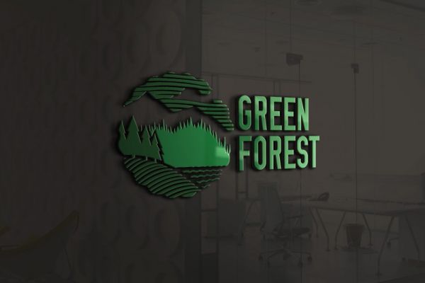 Разработка логотипа: 2 уникальных варианта