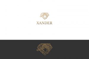 Xander_Монтажная область 1