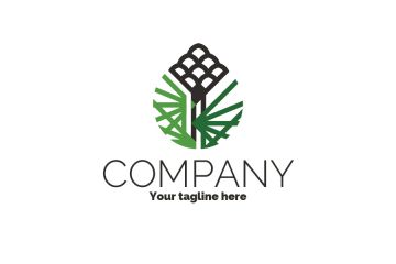 Хвойное дерево