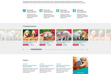 Главная страница с большим горизонтальным меню для продажи товаров