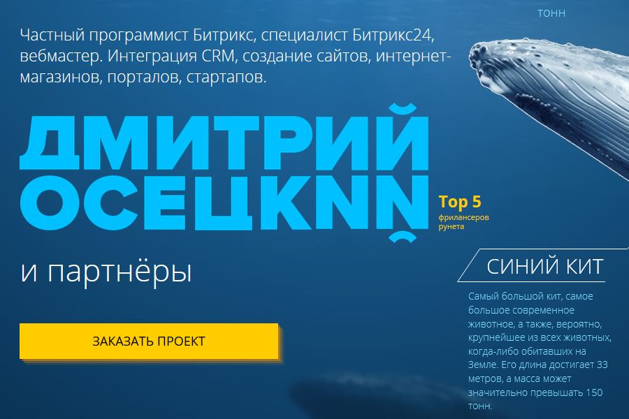 Индивидуальная заказная разработка сложных проектов на 1С-Битрикс 30 000 руб.  за 10 дней.. Программист Битрикс24 amoCRM Дмитрий Осецкий