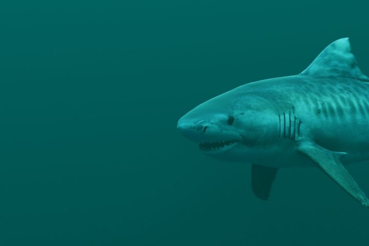 3D МОДЕЛИРОВАНИЕ БЫСТРО, НЕДОРОГО - 1263884