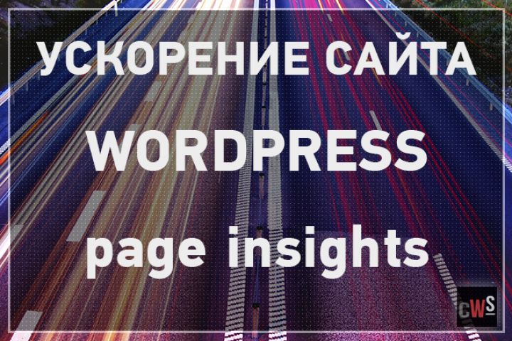 Оптимизация Wordpress сайта по PageSpeed Insights - 1266636