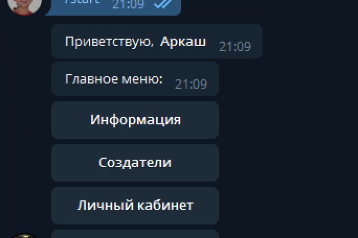 Создам Telegram бота для вашего бизнеса - 1283754