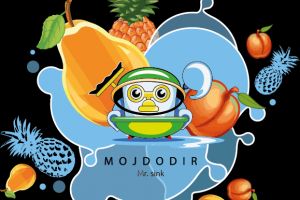 moidodir