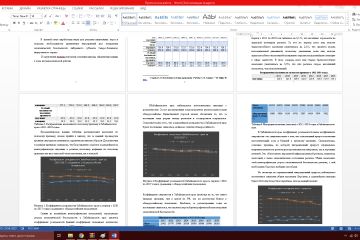 Курсовая:"Экономическая безопасность регионов на примере Забайкальского края"