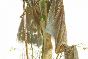 16238017_1426880723991793_2021513799_n