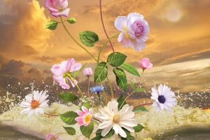 море и цветы