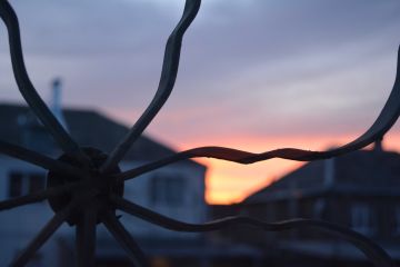 Вид из окна